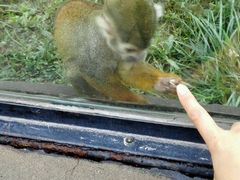 -石家庄市动物园