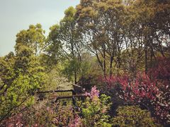 -南汇桃花村