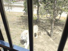 -太原动物园