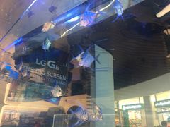 -迪拜水族馆及水下动物园