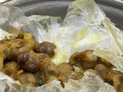 -鸽鸟轩(石岐店)