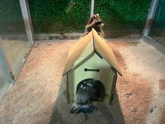 -常州海昌海洋探索馆