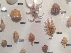-海合安青岛极地海洋公园