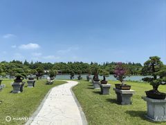 -上海海湾国家森林公园