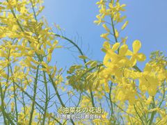 -上海辰山植物园