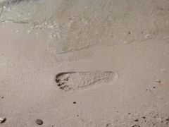 -瑶湖郊野森林公园