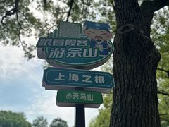 -上海佘山国家森林公园天马山园