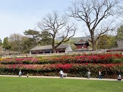 -红螺寺