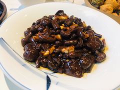 特色红树菇-食家鸽园