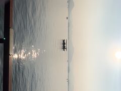 -西湖外事游船(花港观鱼码头)