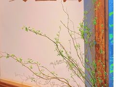 -又至园精品咖啡馆(将军塘店)