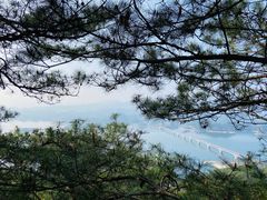 -千岛湖天屿景区