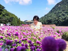 -广州市石门国家森林公园