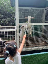 -可可天空农场(中大店)