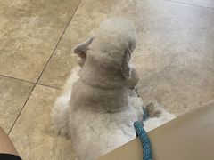 -美联众合动物医院·24h转诊中心