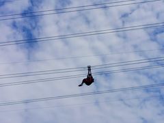 -梦幻奥陶纪景区