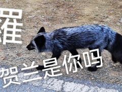-妙峰山风景名胜区