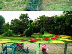 -泗洪洪泽湖湿地景区