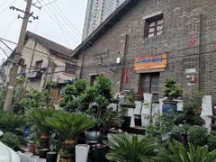 -金陵花卉交易市场