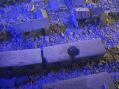 -中国唐山地震博物馆