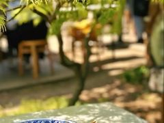 -西园寺素食(西园弄戒幢律寺店)