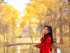 -金塔沙漠胡杨林景区