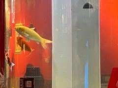 -秤砣砣·湖南粉面馆(青年路店)