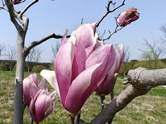 -广富林郊野公园