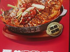 -老板恋上鱼(印象城店)