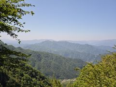 -王顺山国家森林公园