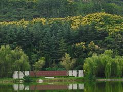 -黄河小浪底水利枢纽风景区