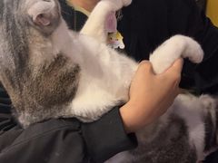 -谜盒子奇幻密室(南屏店)