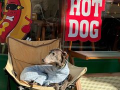 -Legno.ita Coffee by Wood(襄阳南路店)