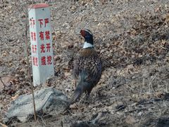 -秦皇岛野生动物园