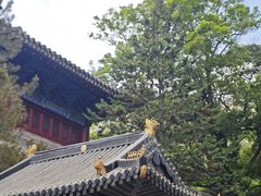 -青岛崂山太清宫