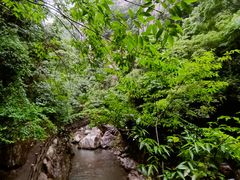 -天台山琼台仙谷景区