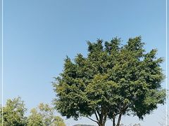 -火炉山森林公园