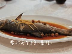 -光头匠