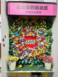 -乐高授权专卖店(万象城店)