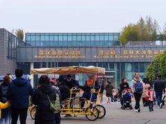 -武汉园博园(武汉自然博物馆)