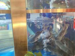 -蜀滋香鲜鱼美蛙火锅(339店)