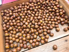 -阿男野栗王(金门路店)