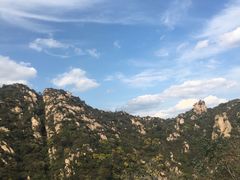 -大岭沟猕猴桃谷风景区