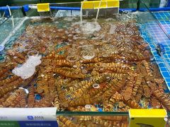 -三亚火车头万人海鲜广场