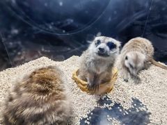 -太平洋海底世界