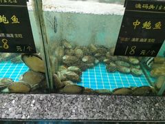 -渔码头食府(蓬莱阁店)