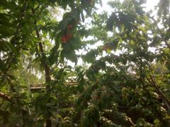 -北京天湖会议中心