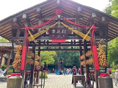 -云南民族村