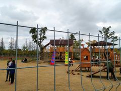 -上海长兴岛郊野公园