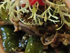 -悦百味·品质川菜(橄榄郡店)